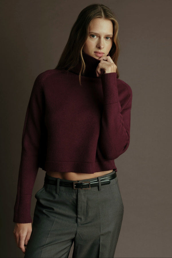 Pugliese Turtleneck Sweater