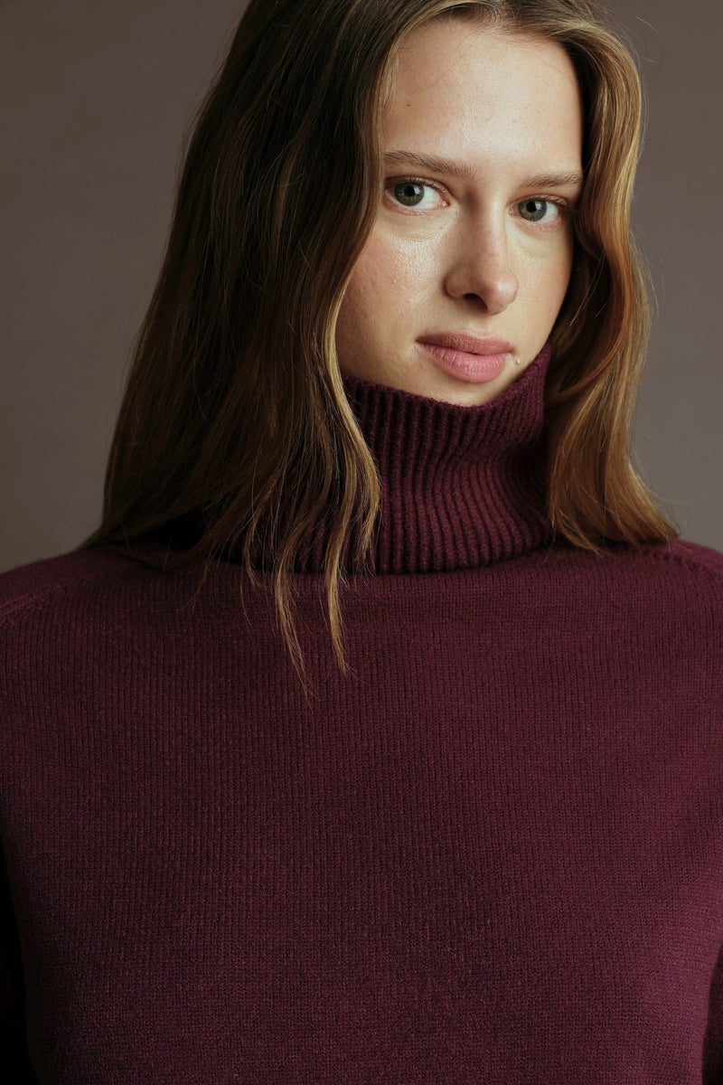 Pugliese Turtleneck Sweater
