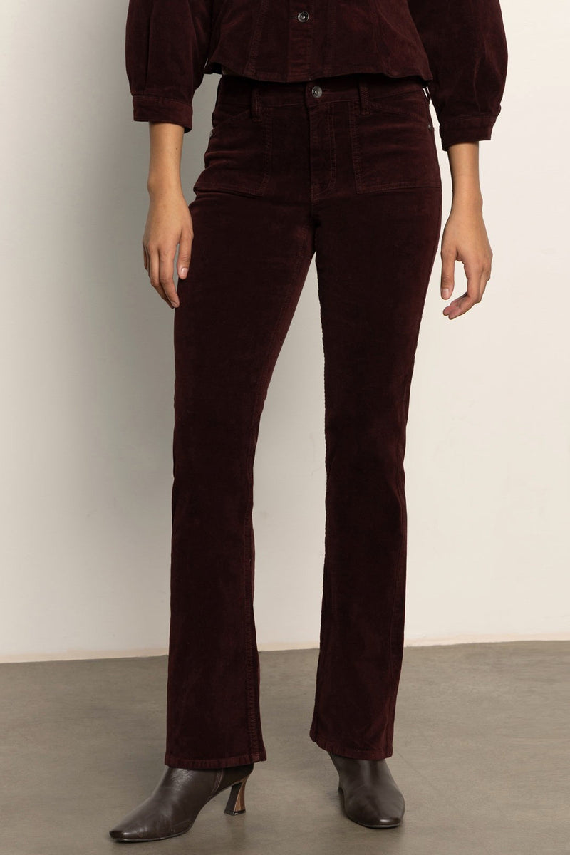 Velveteen Brook Bootcut Pant