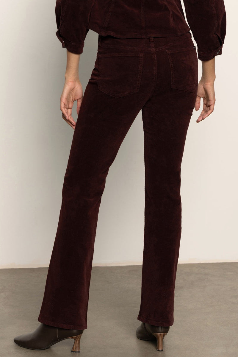Velveteen Brook Bootcut Pant