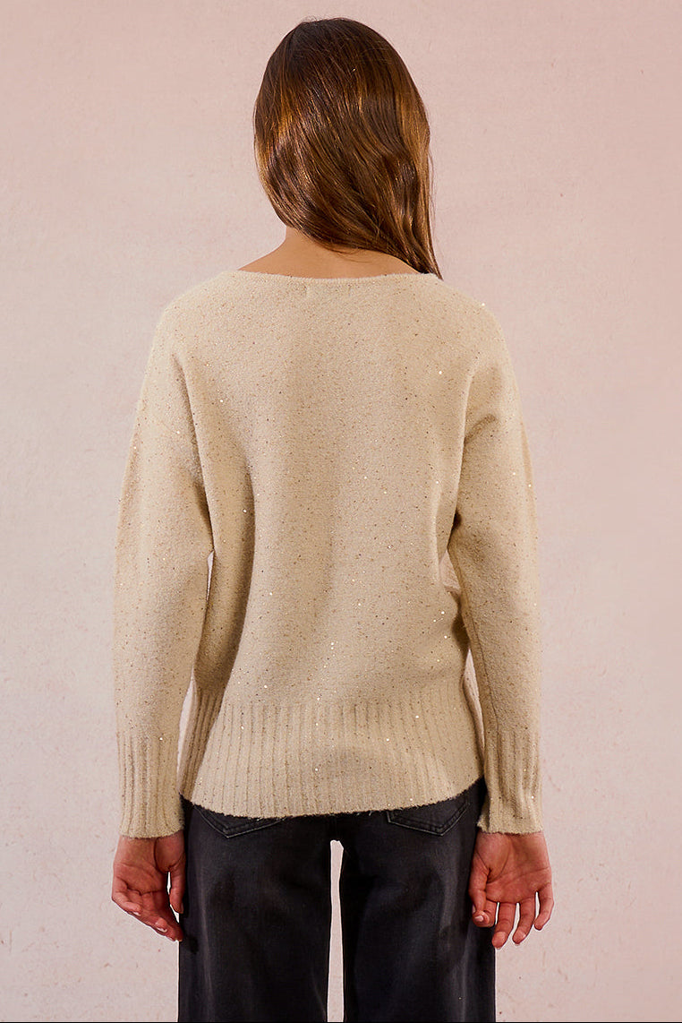 Sequined Knit Sweater