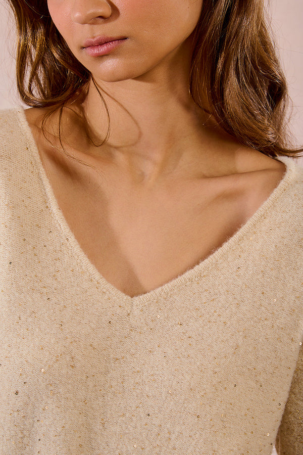 Sequined Knit Sweater