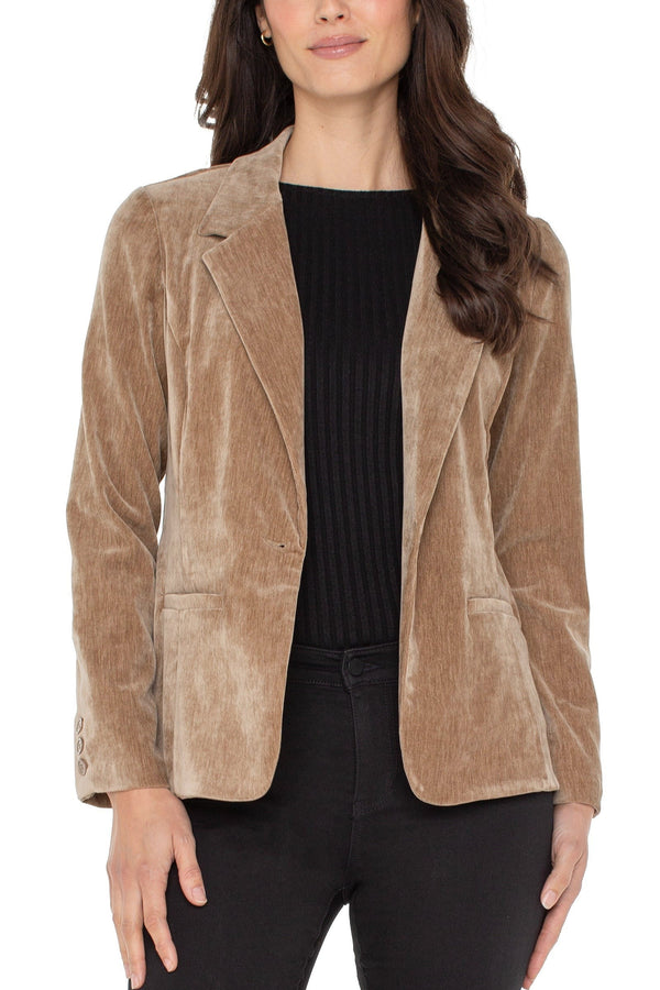 Velvet Fitted Blazer
