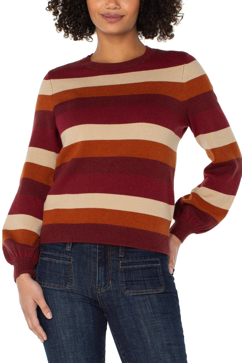 Multi Stripe Crew Neck Sweater