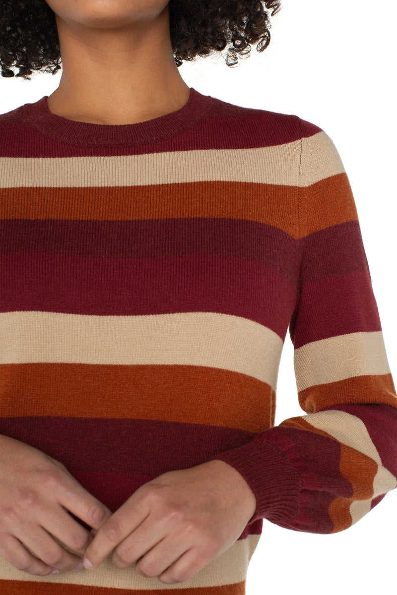Multi Stripe Crew Neck Sweater