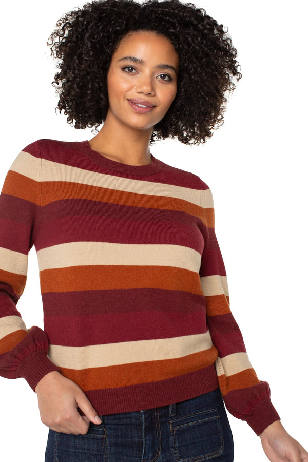 Multi Stripe Crew Neck Sweater