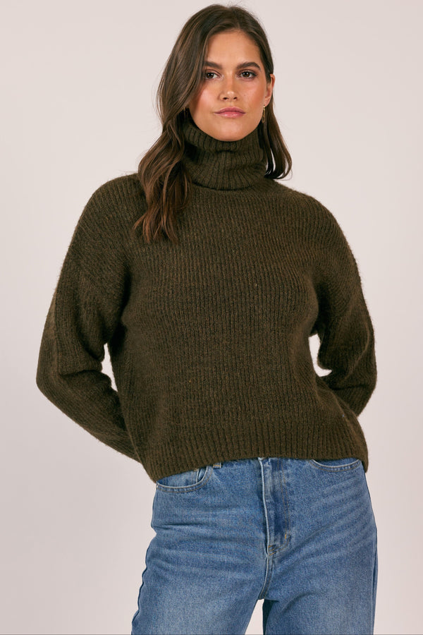 Fiona Turtleneck Pullover - brown