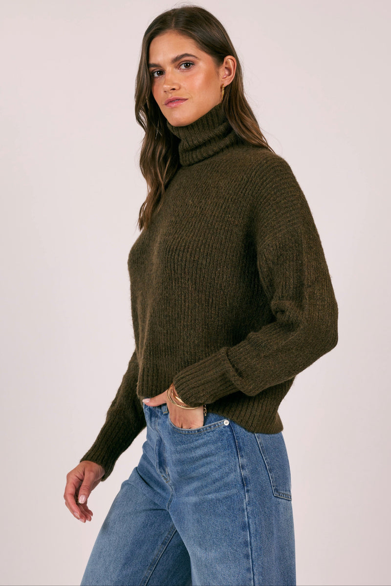 Fiona Turtleneck Pullover - brown