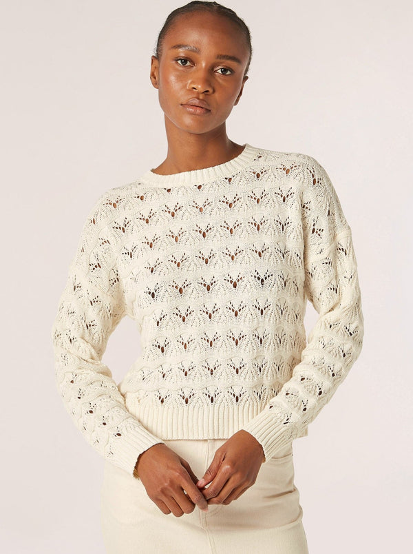 Open Knit Pointelle Sweater