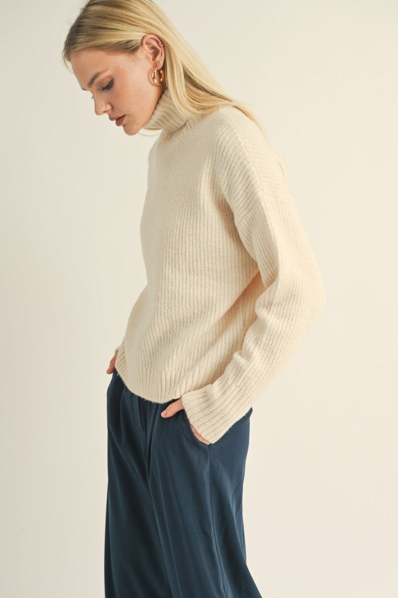 Fiona Turtleneck Pullover