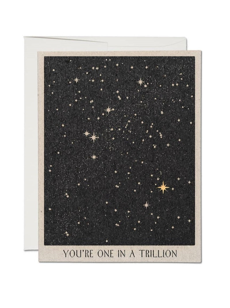 "One in A Trillion" Friendship Greeting Card